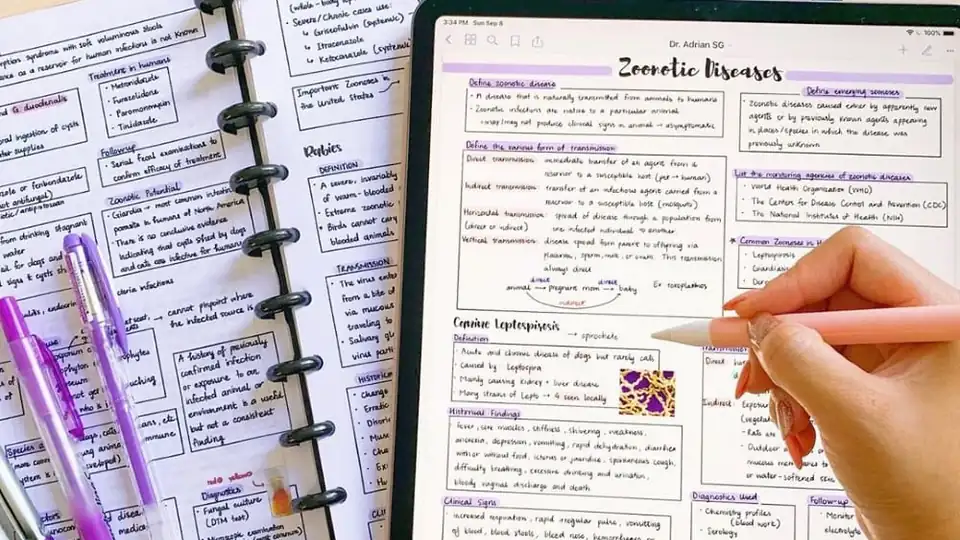 How to Effectively Study for an MBA: Tools and Tips for Success